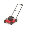 MTD motorna kosilica MTD 51 BC Briggs & Stratton