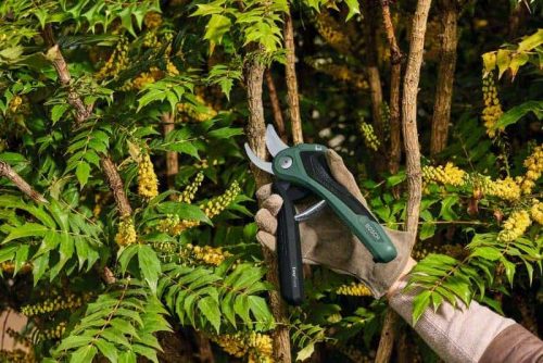 BOSCH aku škare za grane EasyPrune
