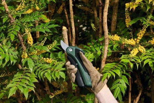BOSCH aku škare za grane EasyPrune