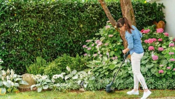 Žena koristi Bosch EasyGrassCut 23 električni trimer za travu u vrtu s cvijećem i zelenilom.