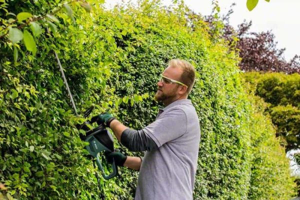 Muškarac s naočalama i rukavicama koristi BOSCH električne škare za živicu AdvancedHedgeCut 70 na živici.