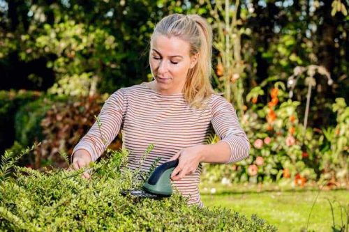 BOSCH aku škare za travu EasyShear + nastavak za grmlje