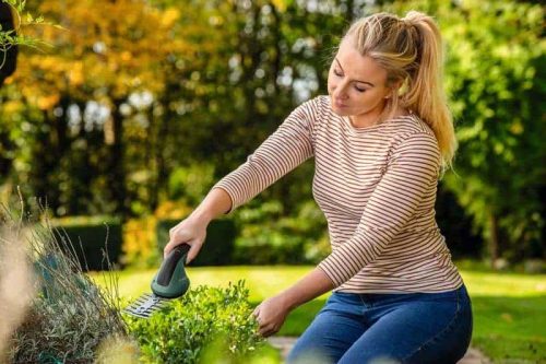 BOSCH aku škare za travu EasyShear + nastavak za grmlje