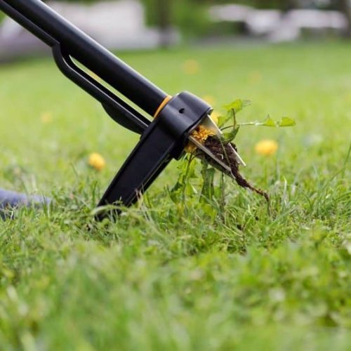 FISKARS čupač korova Xact