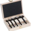 BOSCH 5 dijelni set EXPERT Wood forstner svrdla za drvo 15–35 mm