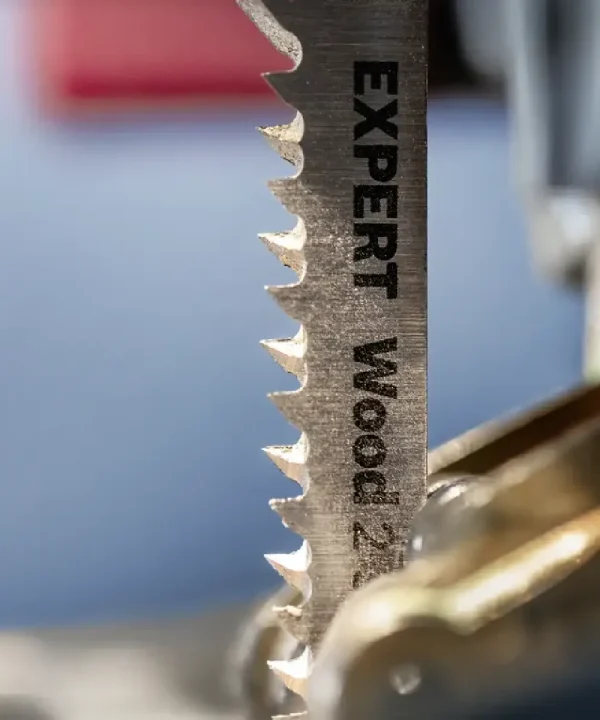Oštrica EXPERT Wood 2 za ubodnu pilu za zavojite rezove u drvu.