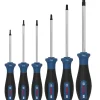 BOSCH PRO 6 dijelni set odvijaca TX10 TX40