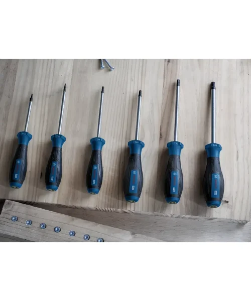 BOSCH PRO 6-dijelni set odvijača TX10-TX40