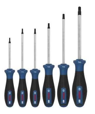 BOSCH PRO 6-dijelni set odvijača TX10-TX40