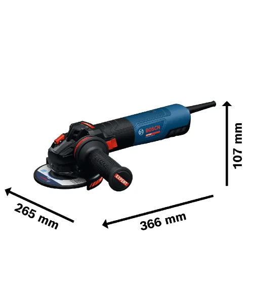 BOSCH kutna brusilica EXPERT EXWS20-125TSB 2000 W